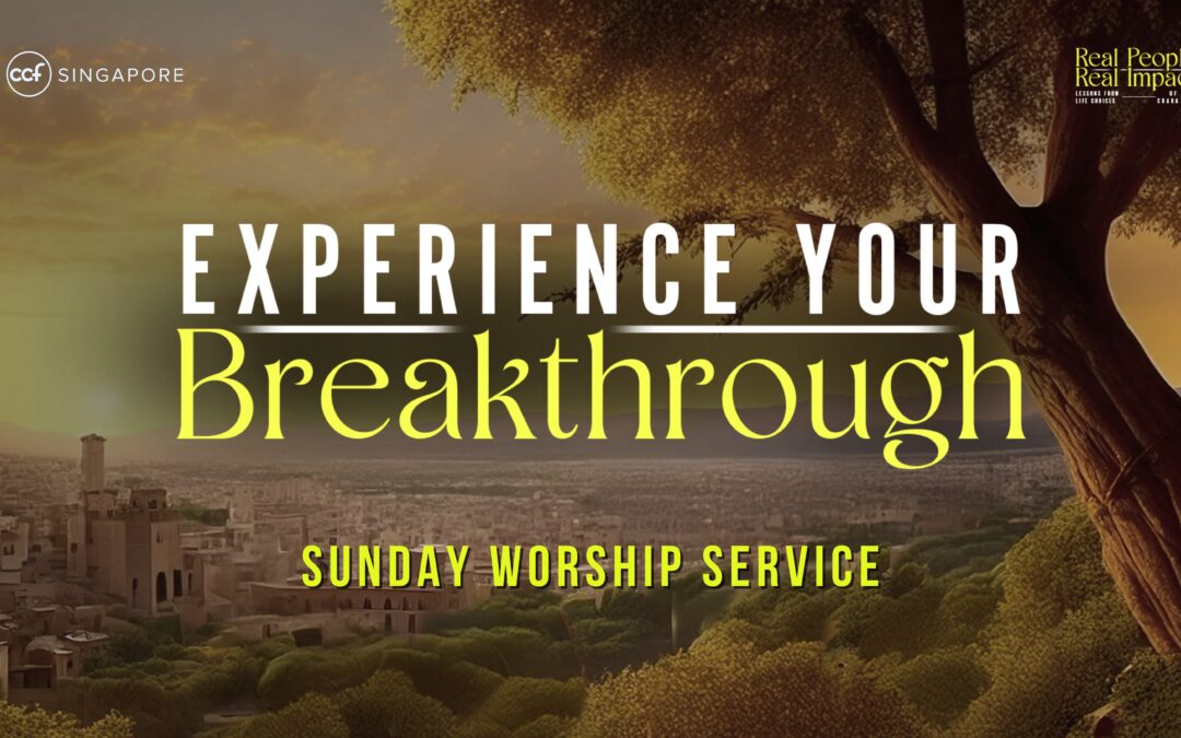 Zacchaeus: Breakthrough