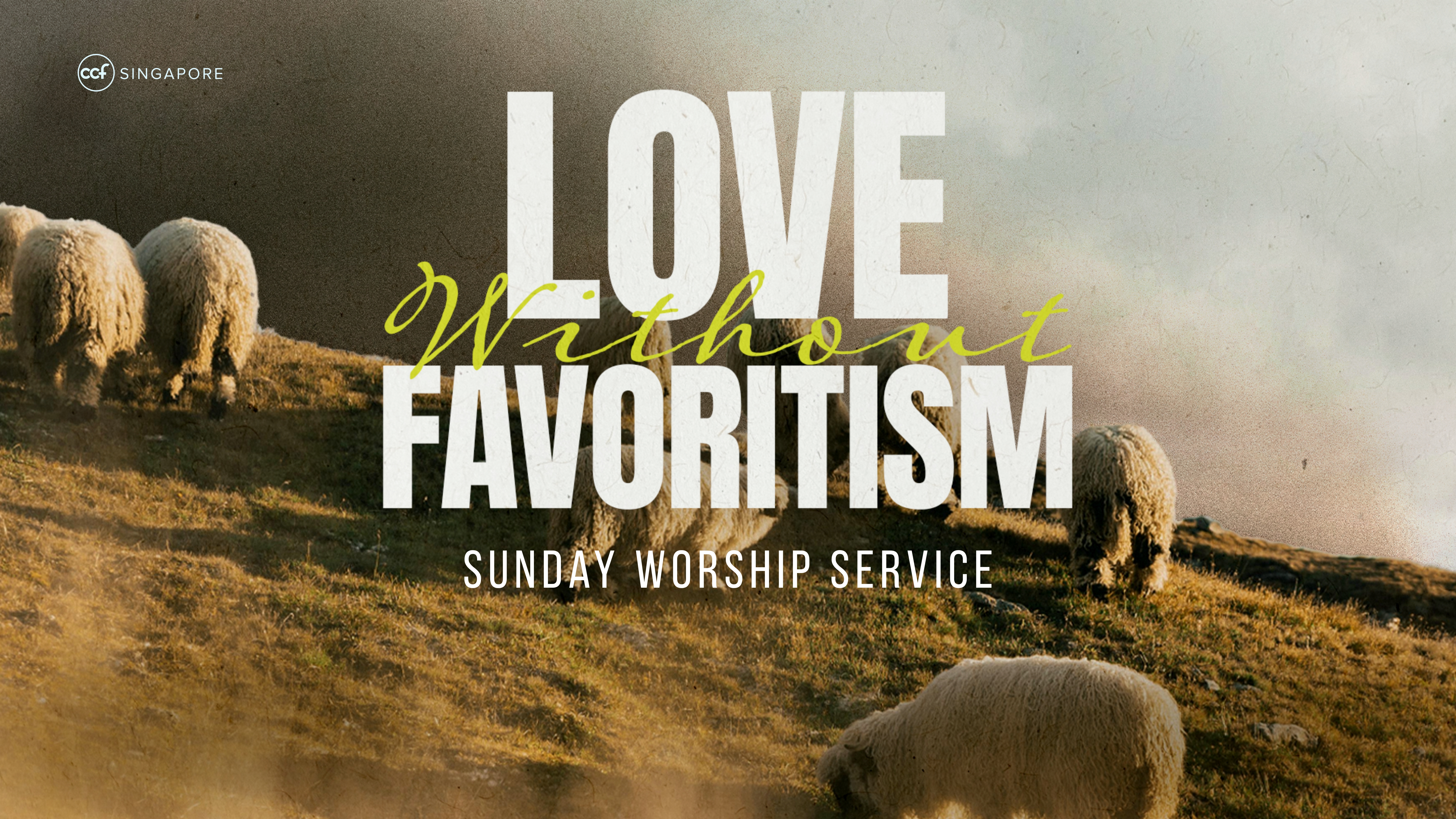 Real Faith Loves Without Favoritism | James 2:1-13