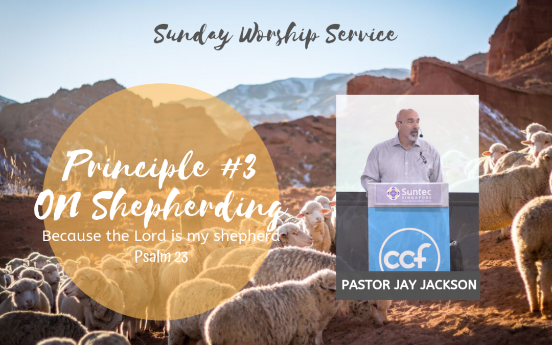 Principle #3 on Shepherding | Psalm 23