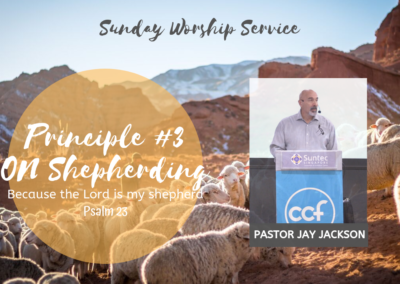 Principle #3 on Shepherding | Psalm 23