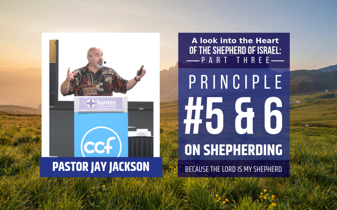 Principle #5 and #6 on Shepherding | Psalm 23