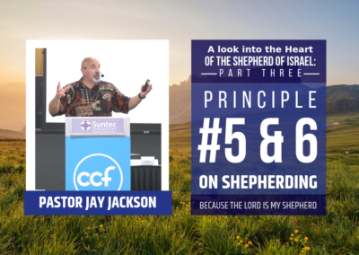 Principle #5 and #6 on Shepherding | Psalm 23