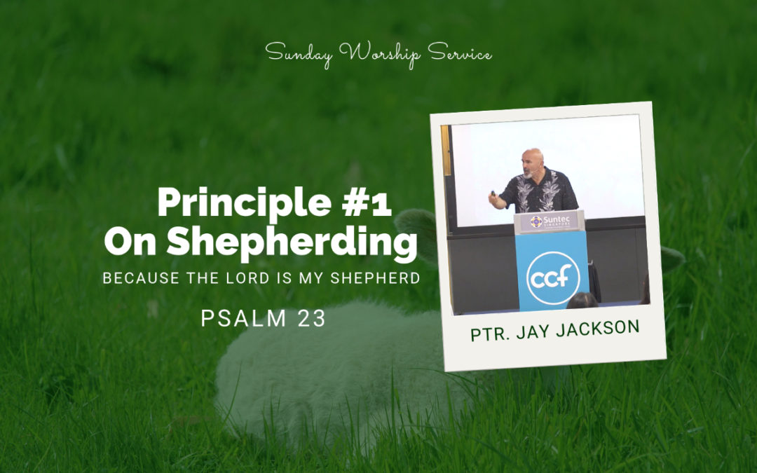 Principle #1 On Shepherding | Psalm 23