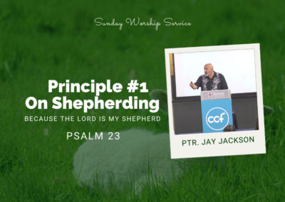 Principle #1 On Shepherding | Psalm 23