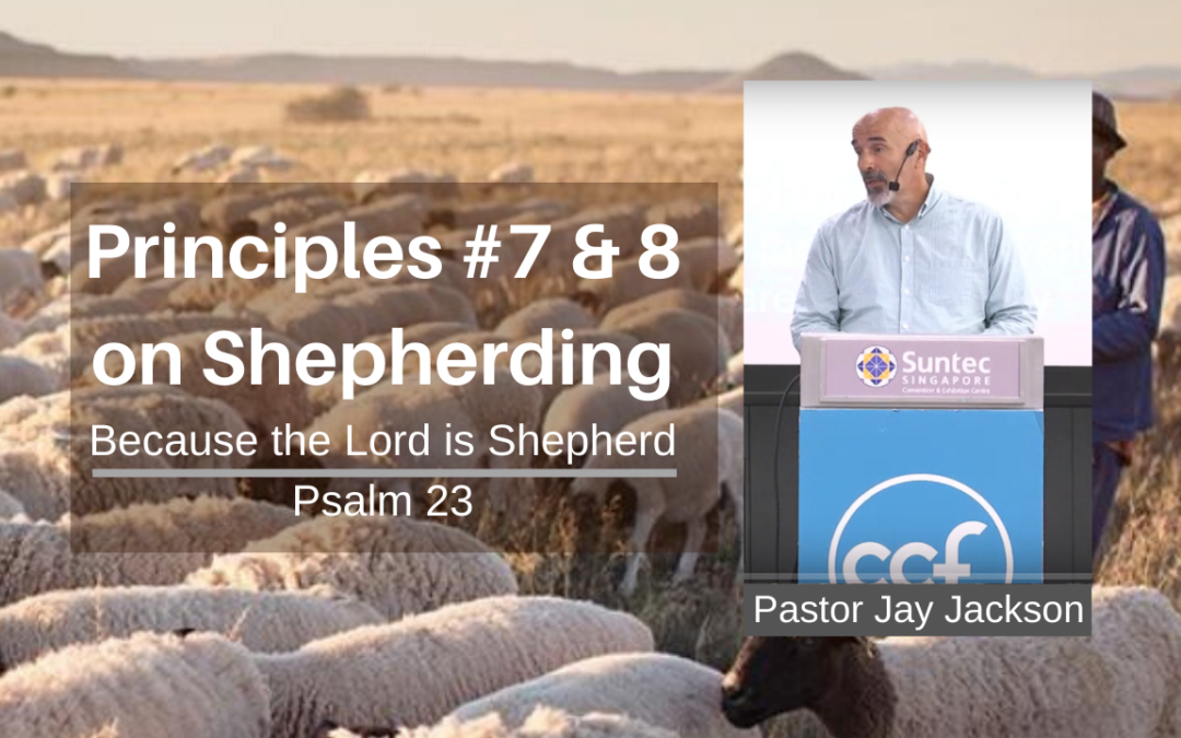Principles #7 & 8 on Shepherding | Psalm 23