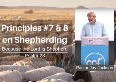 Principles #7 & 8 on Shepherding | Psalm 23